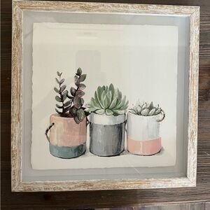 11x11  Frame Potted Succulents Pastel Colors